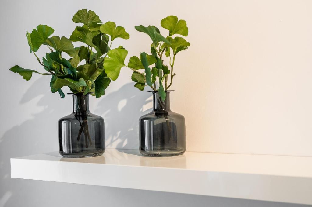 Apartament Za Bramka Centrum 波兹南 外观 照片